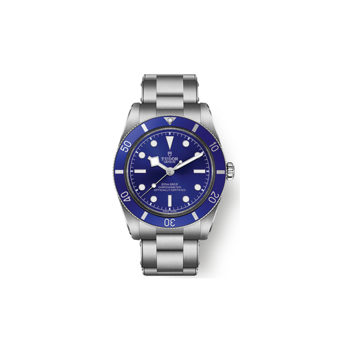 Black Bay 54 watch